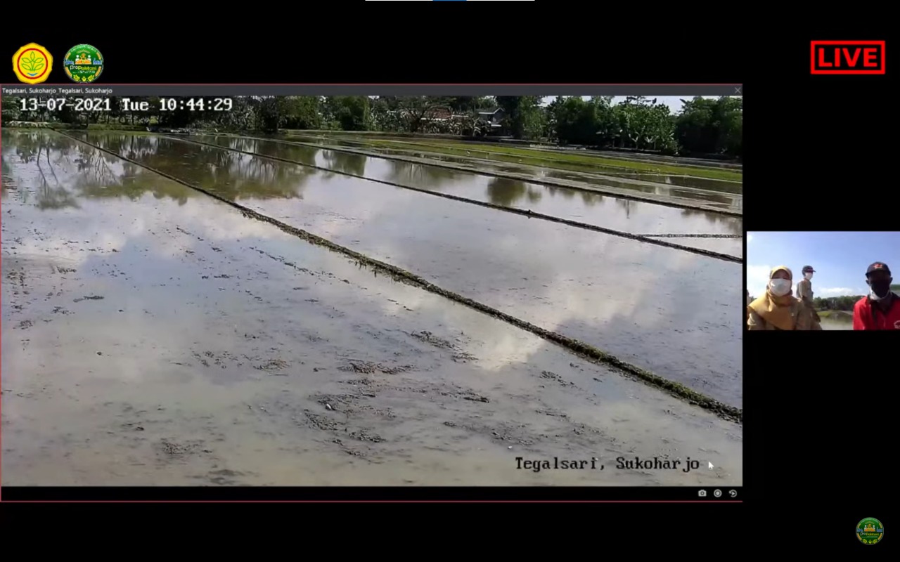 Kementan Lakukan Webinar On The Spot di Lokasi Pertanaman