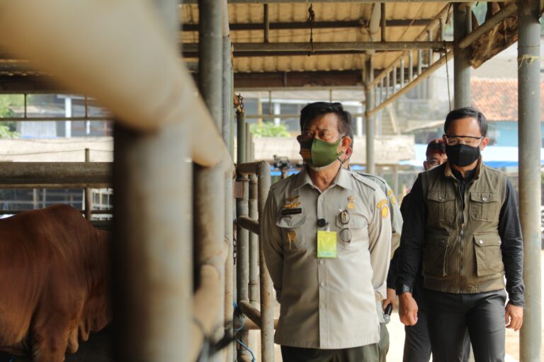 Panitia Kurban Diminta Terapkan Prokes dan Kedepankan Kesehatan Hewan