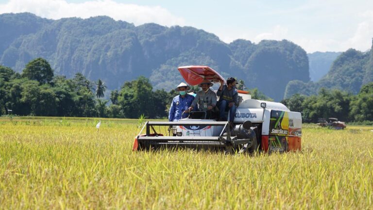 Petani Pangkep Didorong Tiga Kali Tanam Sekali Musim