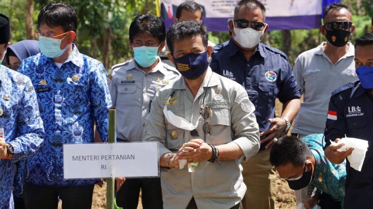 Pengamat: Mentan SYL Moncer Bangun Pertanian
