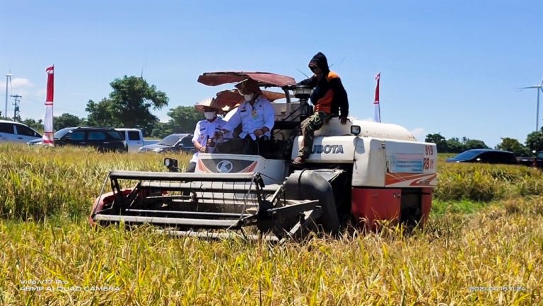 Program OPIP Sukses Tingkatkan Produksi Panen Kabupaten Muara Enim