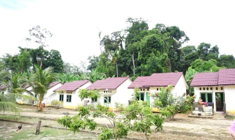 Pemerintah Bangun 80 Rumah Khusus bagi Masyarakat Suku Anak Dalam di Jambi