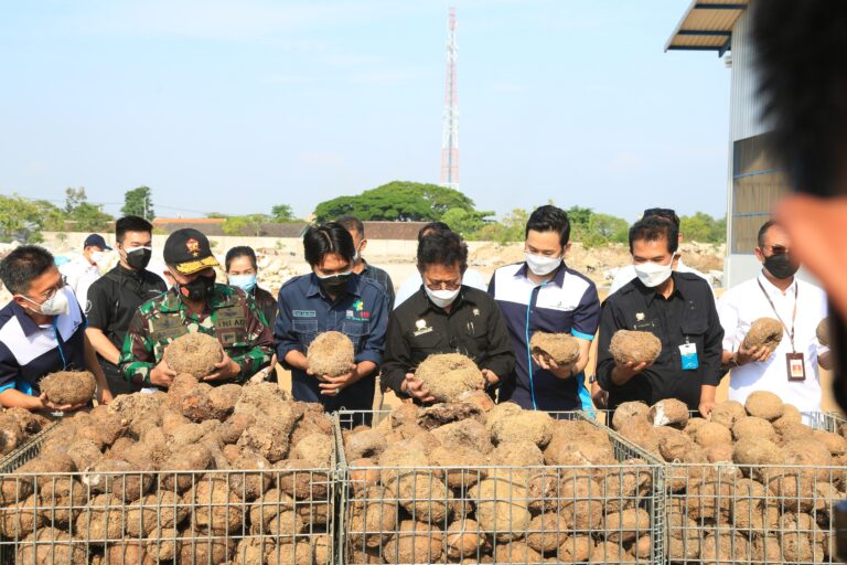 Mentan Dorong Beras Porang Shirataki Madiun Bersaing di Pasar Global