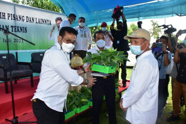 Mentan SYL Serahkan Bantuan Benih Pisang di Jeneponto