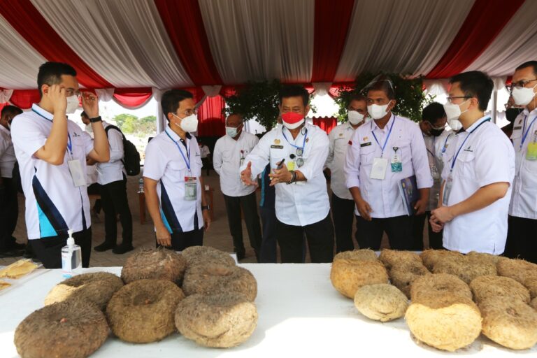 Saat Petani Milenial Cerita ke Presiden soal Prospek Cerah Bertani Porang