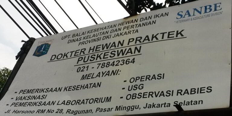 Kementan Dorong Penguatan Puskeswan untuk Optimalkan Layanan Kesehatan Hewan