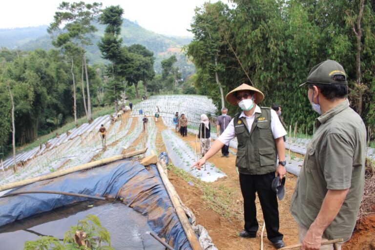 Pertanian Keluarga Tingkatkan Kesejahteraan Petani Sumedang