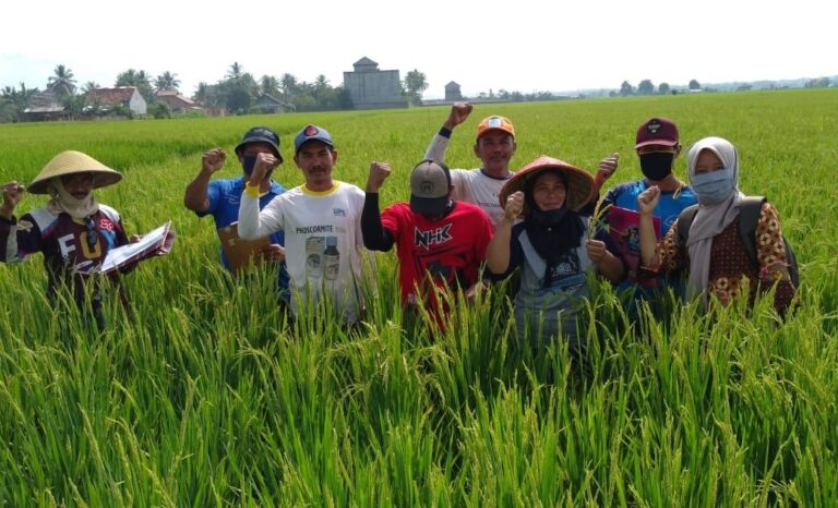 Refleksi Perjalanan Panjang 35 Tahun PHT di Indonesia