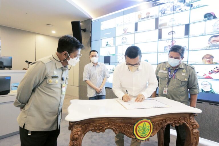 Kenali dan Pahami Wereng Batang Coklat Untuk Amankan Produksi Padi