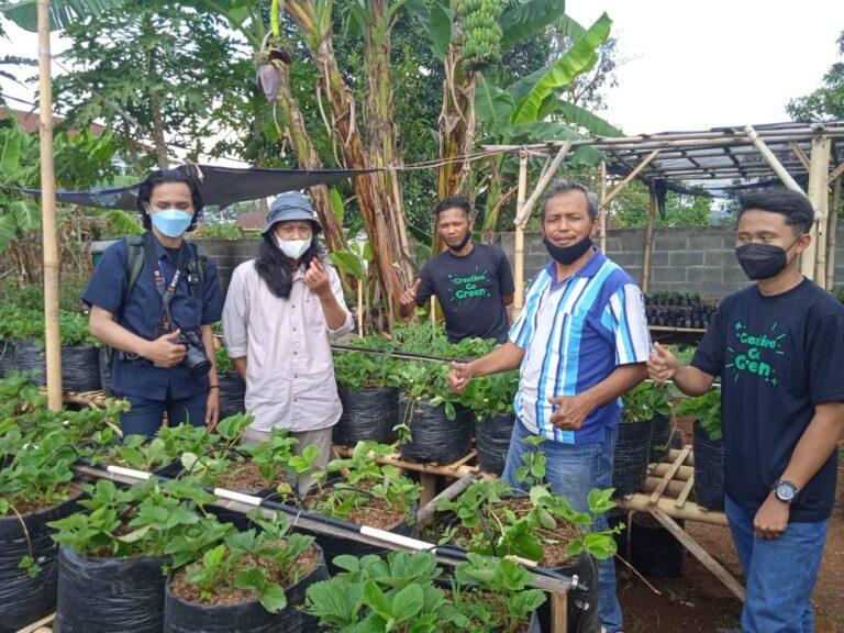 Jamkrindo dan Salarea Foundation Siapkan Program Rumah Semai