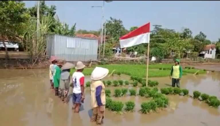 Unik dan Khidmat, Petani Binaan ExtraGen di Pekalongan gelar Upacara Bendera di Tengah Sawah