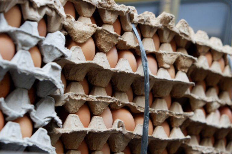 Satgas Pangan Polri Ungkap Penyebab Harga Telur Ayam Meningkat