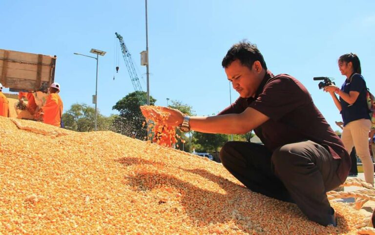 Produksi Jagung Cukup, Akademisi IPB: Jangan Sampai Impor