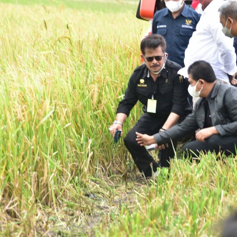 Komisi IV DPR apresiasi Percepatan Pembangunan Pertanian di Papua