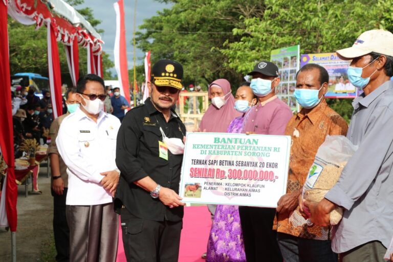 Mentan SYL Dorong Hutan Sagu Papua Barat Menjadi Lahan Agrowisata