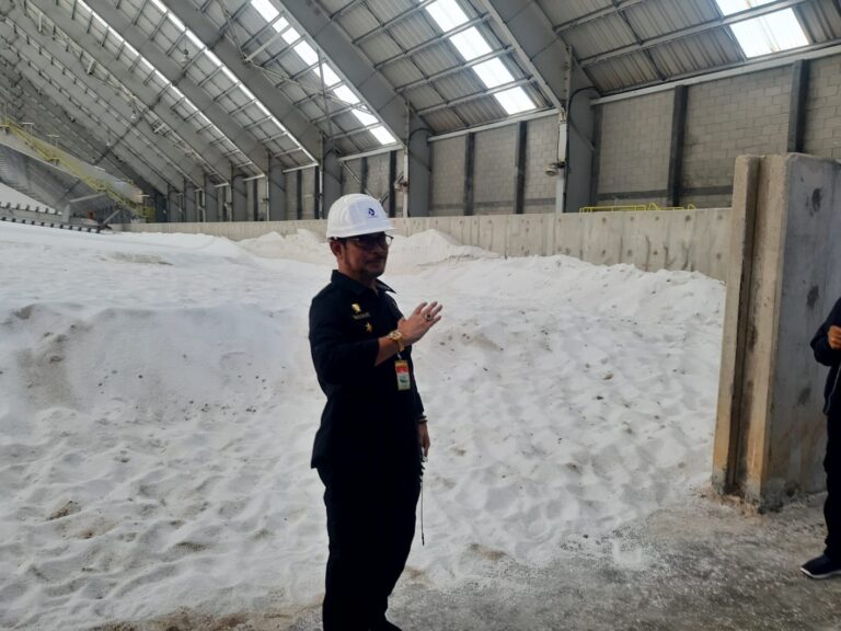Wujudkan Swasembada, Mentan SYL Pastikan Stok dan Tingkatkan Kapasitas Produksi Pupuk