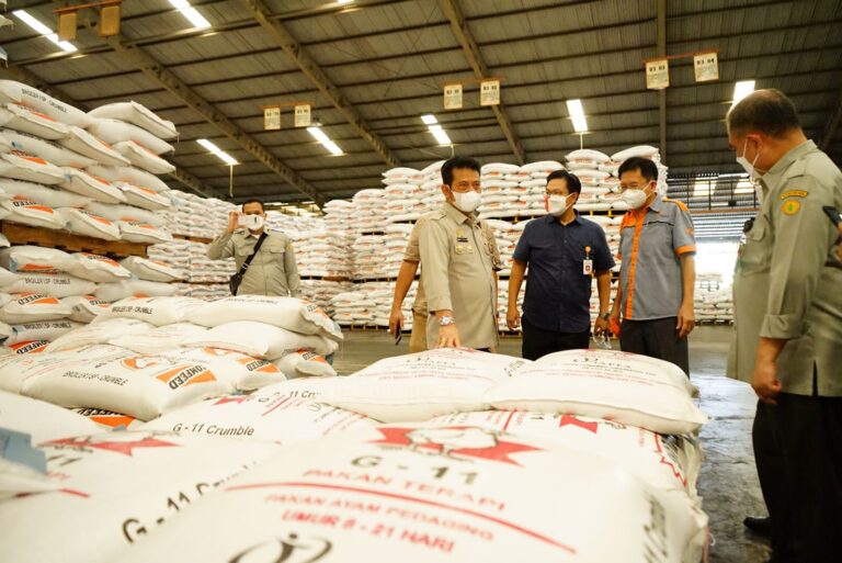 Tepis Isu Jagung Langka, Mentan Cek Stok Jagung Pabrik Pakan