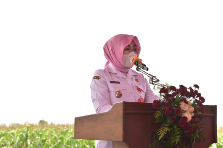 Bupati Grobogan: Biarkan Petani Nikmati Hasil Panen, Jangan ada Impor!