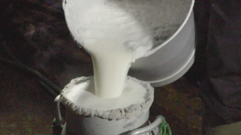 Kementan Berkomitmen Kembangkan Produksi Susu Segar Dalam Negeri