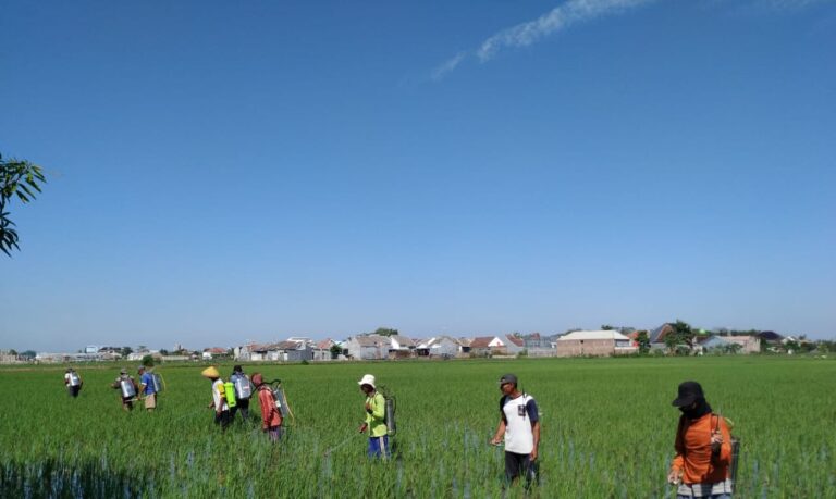 Kementan Ajak Petani Kedepankan Pengendalian Ramah Lingkungan