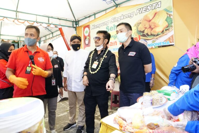 Kementan – Kemenparekraf sinergi kembangkan Agrowisata berbasis Singkong