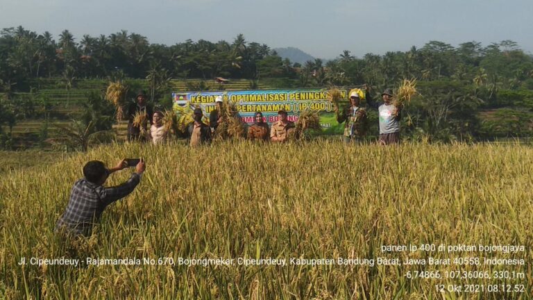 Produktivitas Meningkat, Bandung Barat Tingkatkan Luas Tanam Padi Empat Kali Setahun