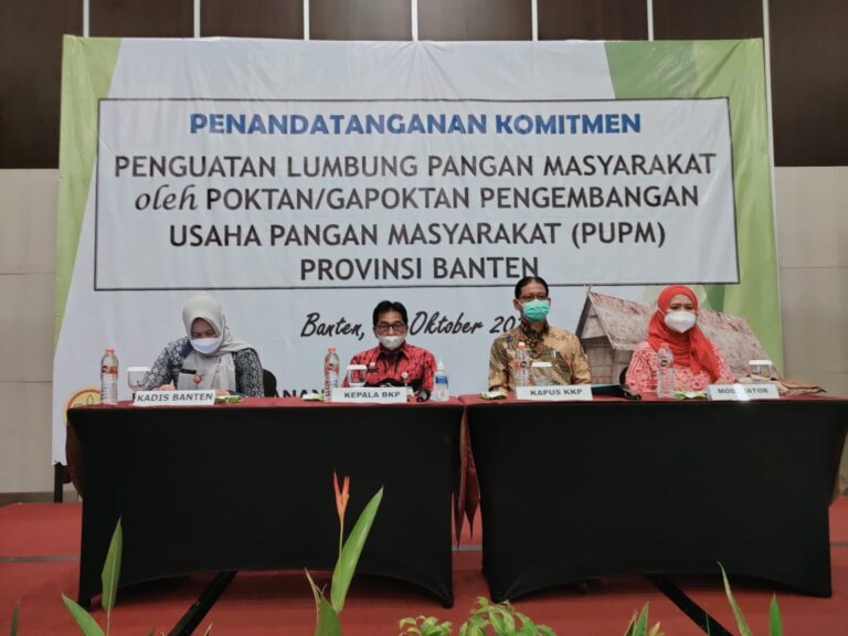 Peran Penting Lumbung Pangan sebagai Cadangan Pangan Masyarakat