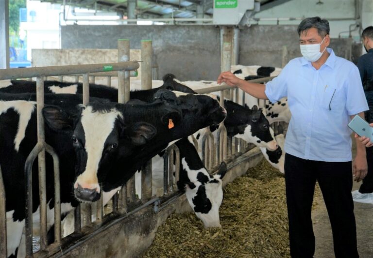 Topang Kinerja Sektor Manufaktur, Industri Agro Berkontribusi Hingga 51 Persen