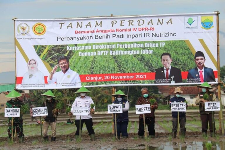 DPR Apresiasi Penanaman Perdana Inpari Nutrizinc Kementan di Cianjur