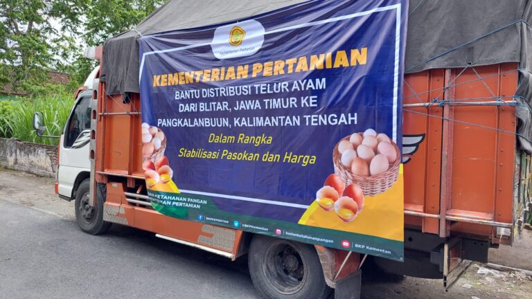 Kementan Fasilitasi Distribusi Telur Peternak Blitar ke Maluku dan Kalteng