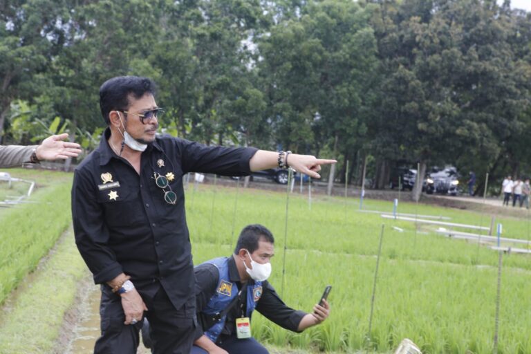 Mentan SYL Ingatkan Pentingnya Adaptasi dan Mitigasi Perubahan Iklim