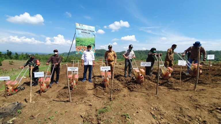 Kementan Pacu Tanam Kedelai Manfaatkan Lahan Sekitar Hutan di Kuningan