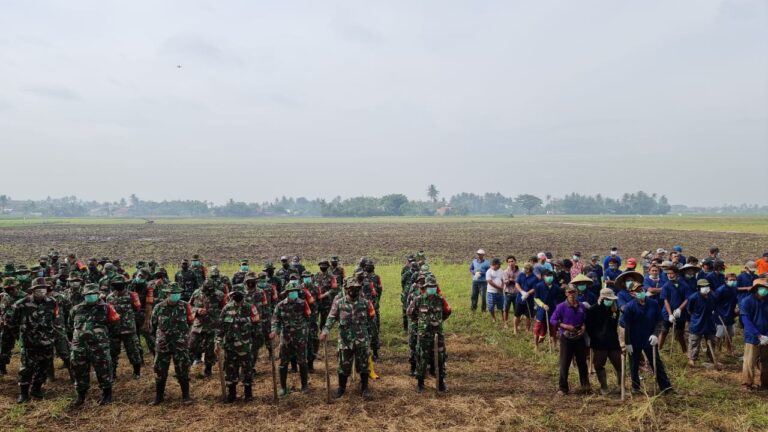 Gandeng TNI, Petani dan Pemda, Komisi IV DPR RI Apresiasi Langkah Kementan Antisipasi La Nina