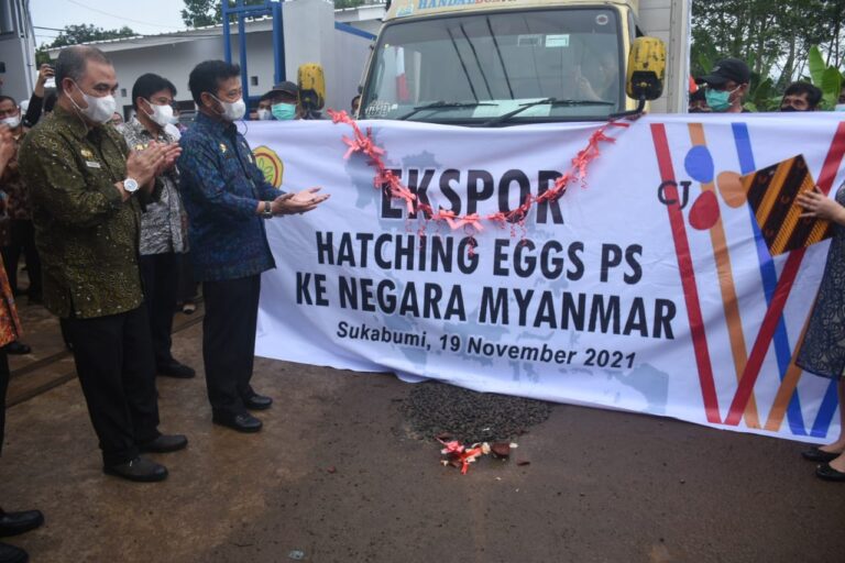 Mentan SYL Lepas Ekspor Telur Tetas Ke Myanmar