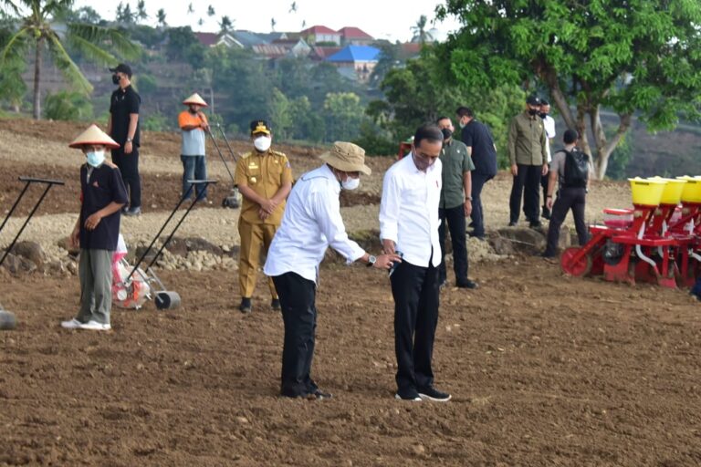 Tanam Jagung di Jenoponto, Jokowi Tegaskan Kebutuhan Nasional Bisa Dipenuhi Petani Lokal