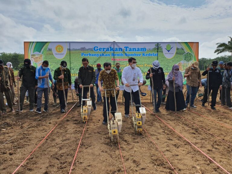 Genjot Pemenuhan Benih Kedelai di Sumatera, Kementan Lakukan Pendampingan Intensif Petani Tebo