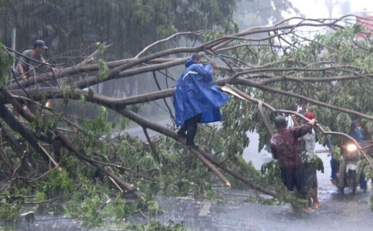 Waspada! Hujan Angin di Depok, Sejumlah Pohon Tumbang