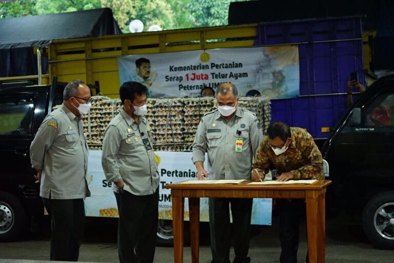 Kementan Serap 1 Juta Telur dari Peternak Rakyat
