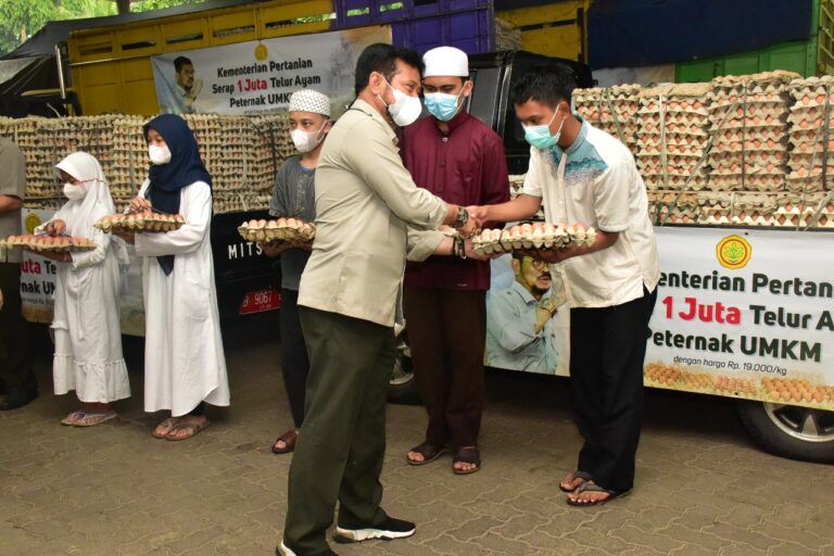 Stabilkan Harga Telur Ayam, Mentan SYL Serap Satu Juta Butir dari Peternak Mandiri