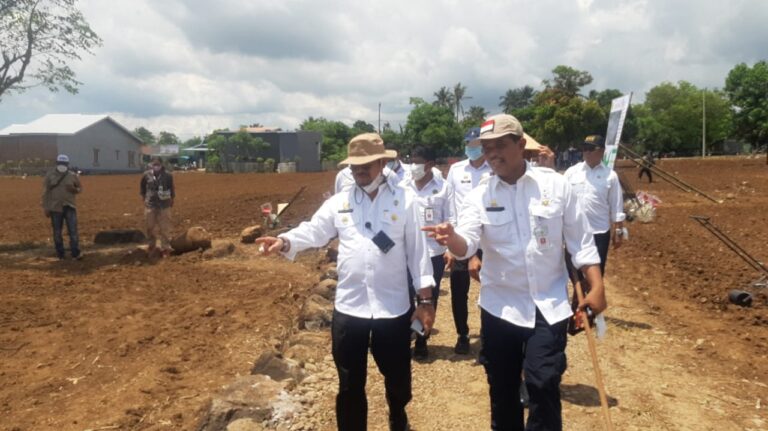 Kementan: Stok Jagung Nasional Diperkuat di Sentra Produksi