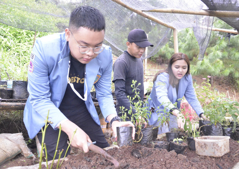 Mahasiswa Universitas Moestopo Belajar Bertani Organik