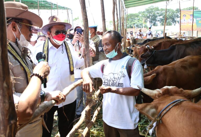 Mentan SYL Panen Pedet dan Luncurkan Program Kelahiran 100.000 Ekor Belgian Blue di Lampung