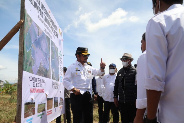 Kunker Pengujung Tahun 2021 di Enrekang, Mentan SYL Dorong Tiga Komoditas Ini Dikembangkan