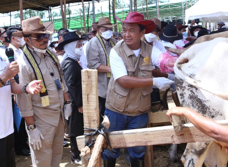 Mentan Dorong Provinsi Lampung Hasilkan 300.000 Bibit Sapi
