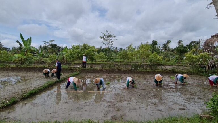 Kementan Dukung Inovasi Baru Petani Gunung Kidul