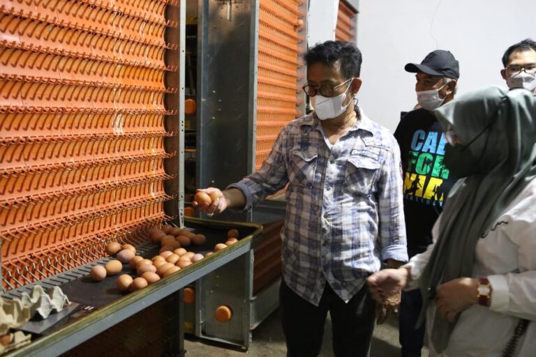 Mentan SYL Pastikan Stok dan Pasokan Telur Ayam Cukup