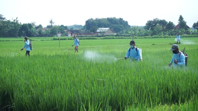 DPR Apresiasi Kinerja Kementan Dalam Meningkatkan Produksi dan Kesejahteraan Petani
