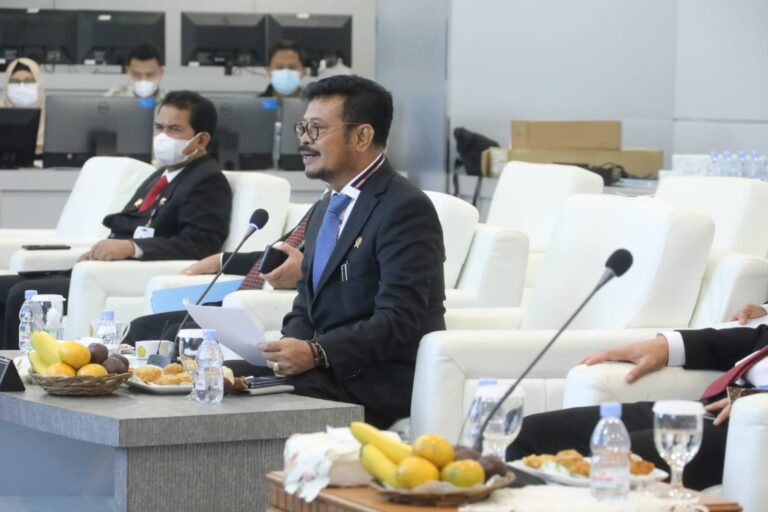 Mentan Paparkan Inovasi Kunci Hadapi Perubahan Iklim di Pertemuan D-8