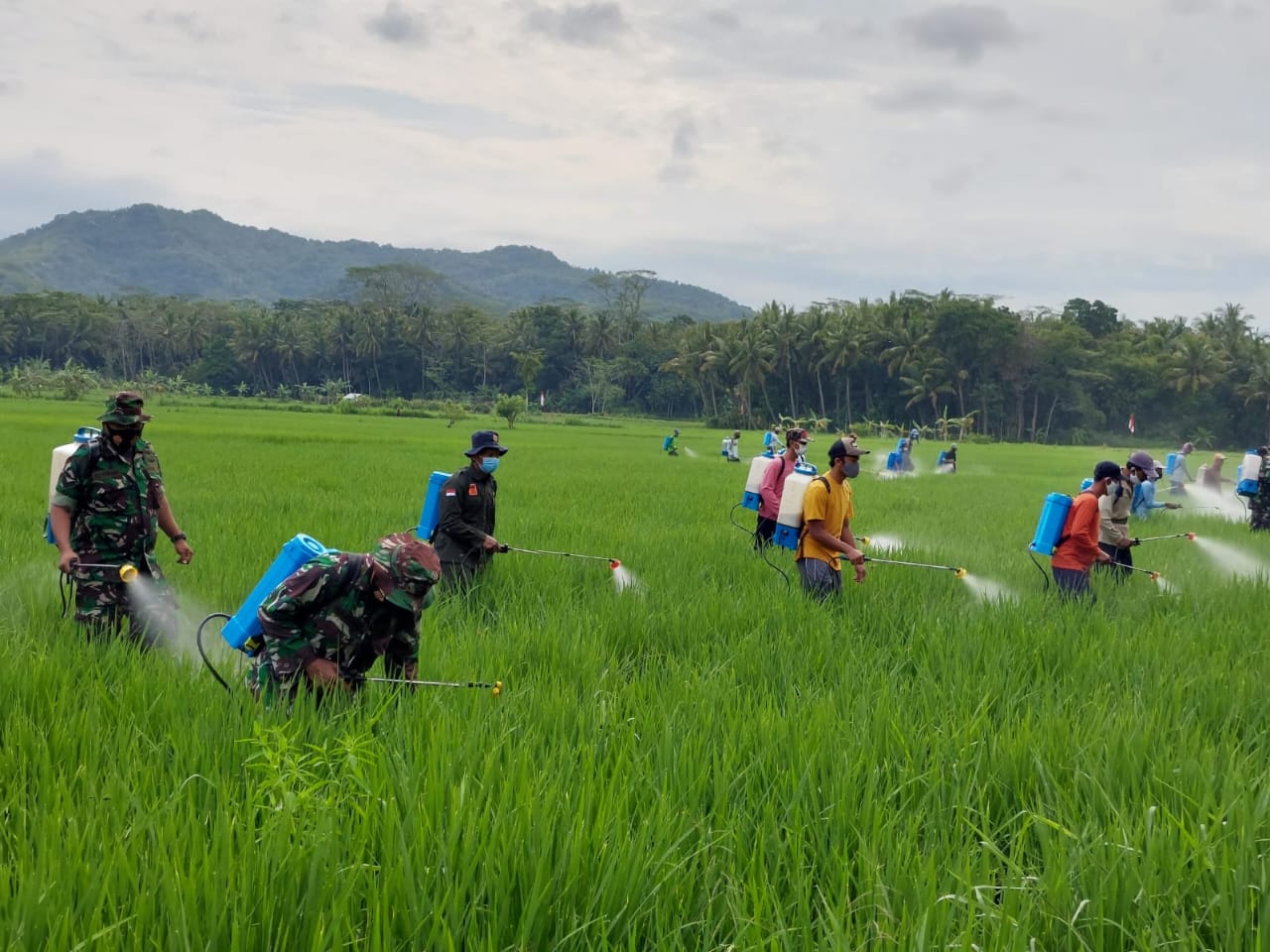 Kementan Amankan Produksi Tanaman Pangan Saat La Lina MONITOR