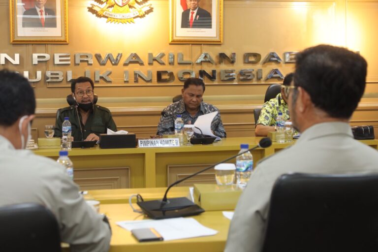 Komite II DPD RI apresiasi Capaian Kinerja Kementan 2021